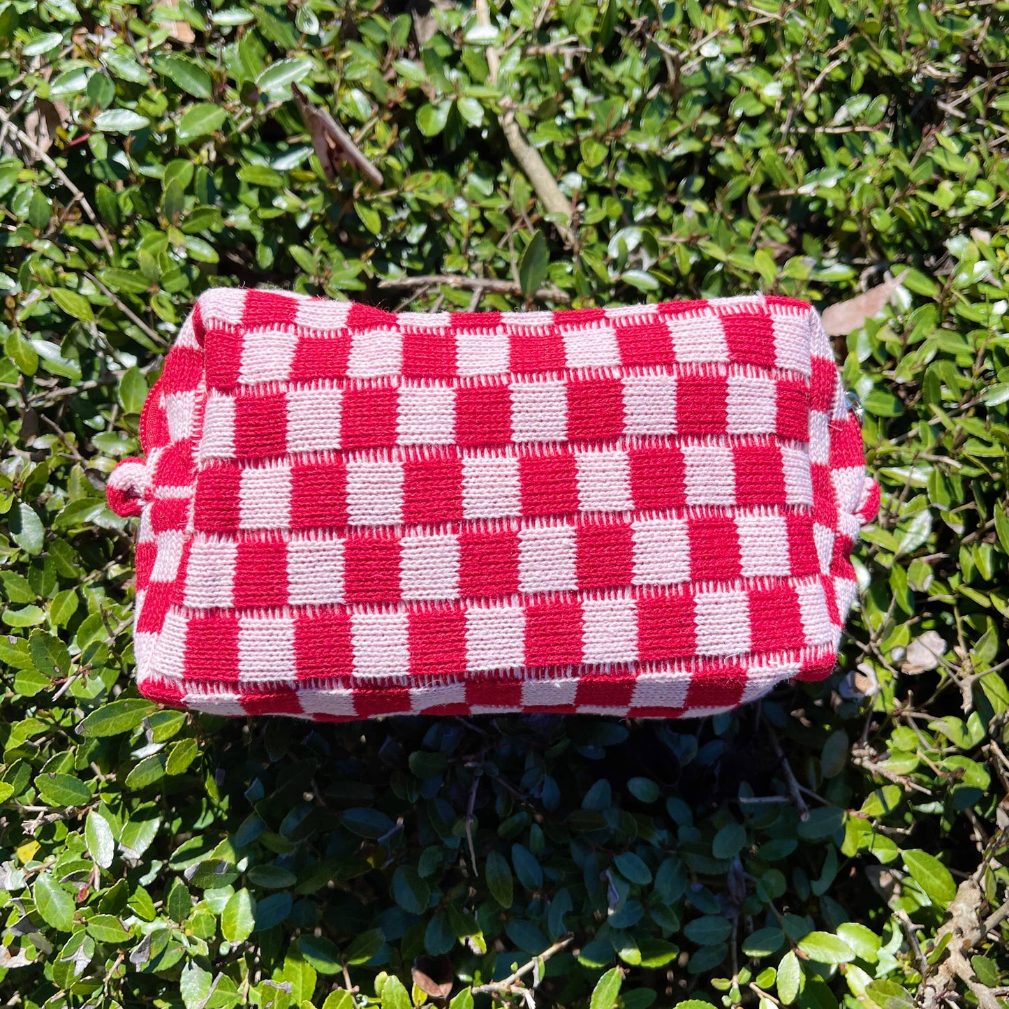 Check Yourself Cosmetic Bag: Blue