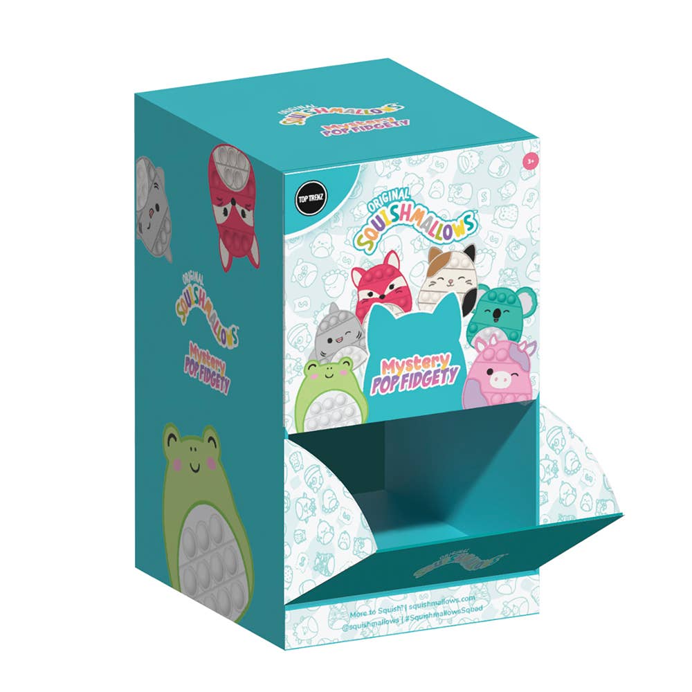Pop Fidgety - Squishmallows Mystery Blind Bag